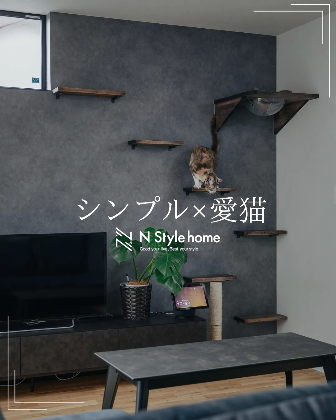 【シンプル×愛猫】
