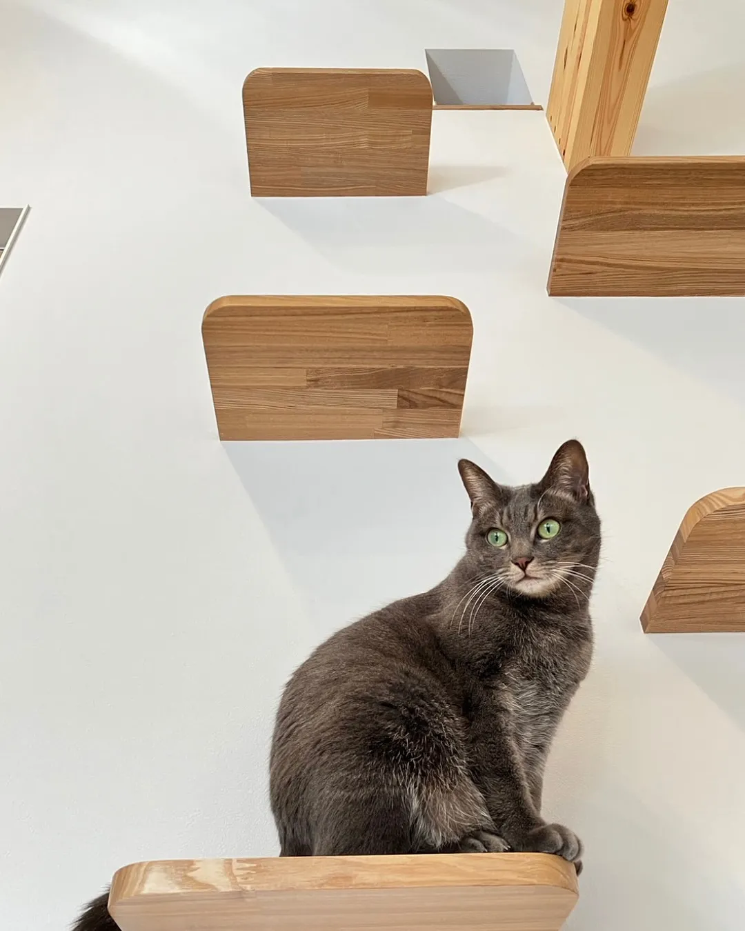 【世界で一番可愛いあなたに】