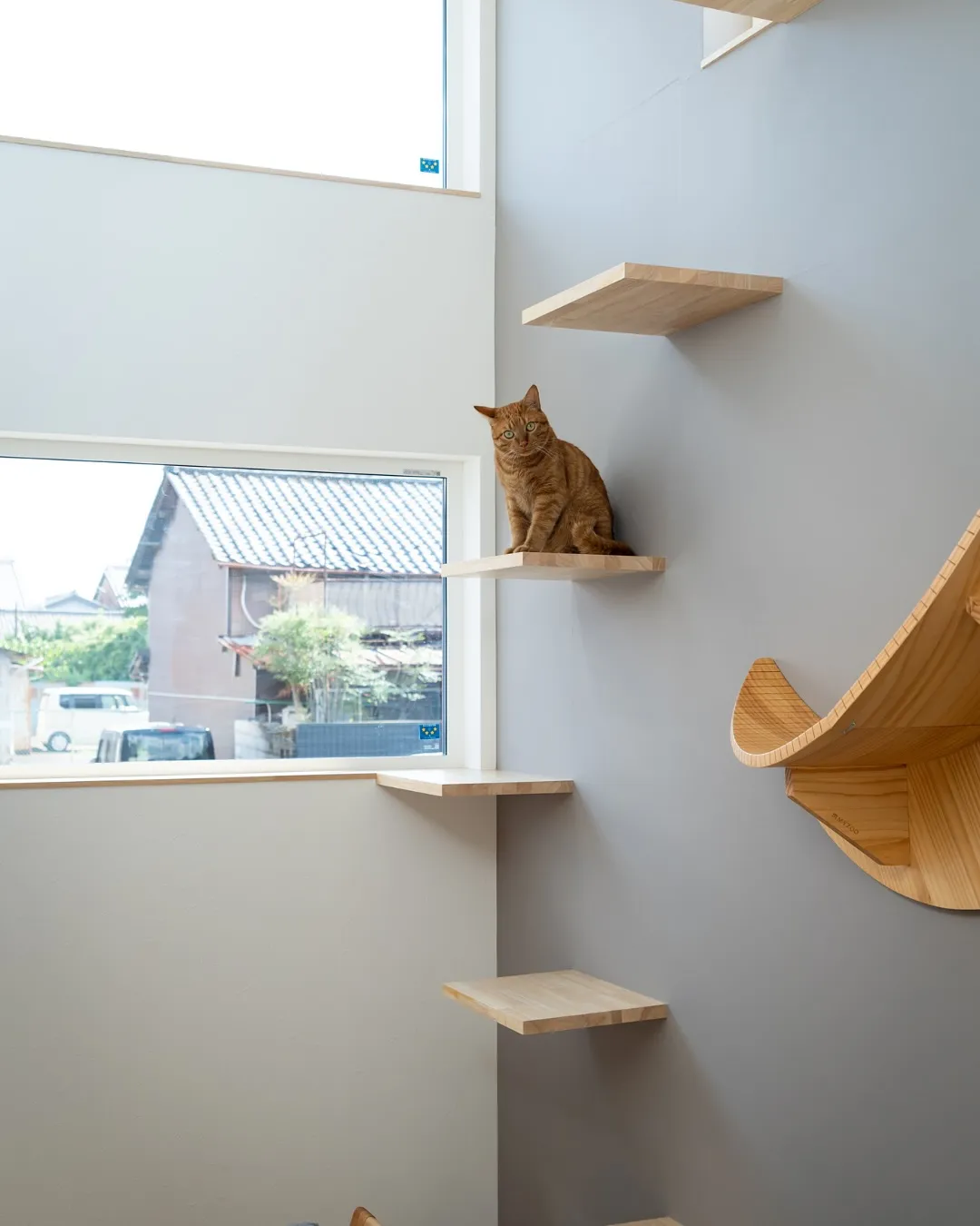 【世界で一番可愛いあなたに】