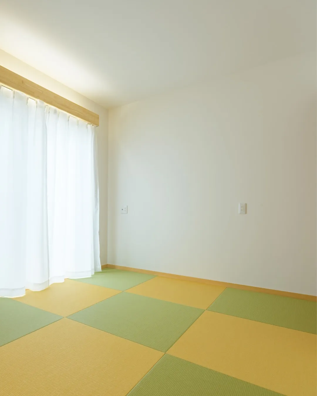 【光のカーテンに映える色】