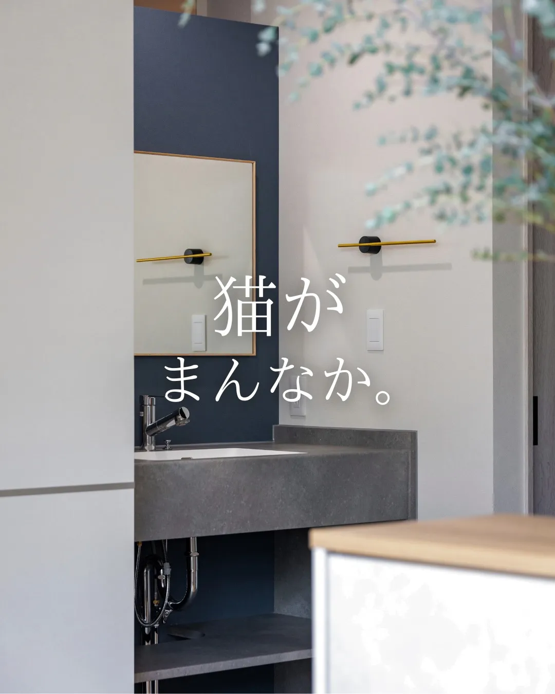 【猫がまんなか】