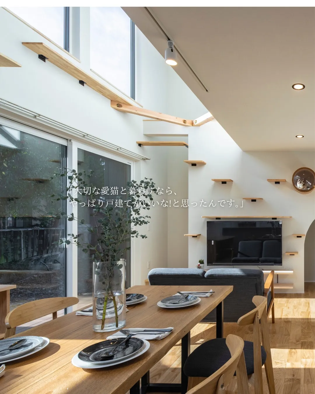 【猫がまんなか】