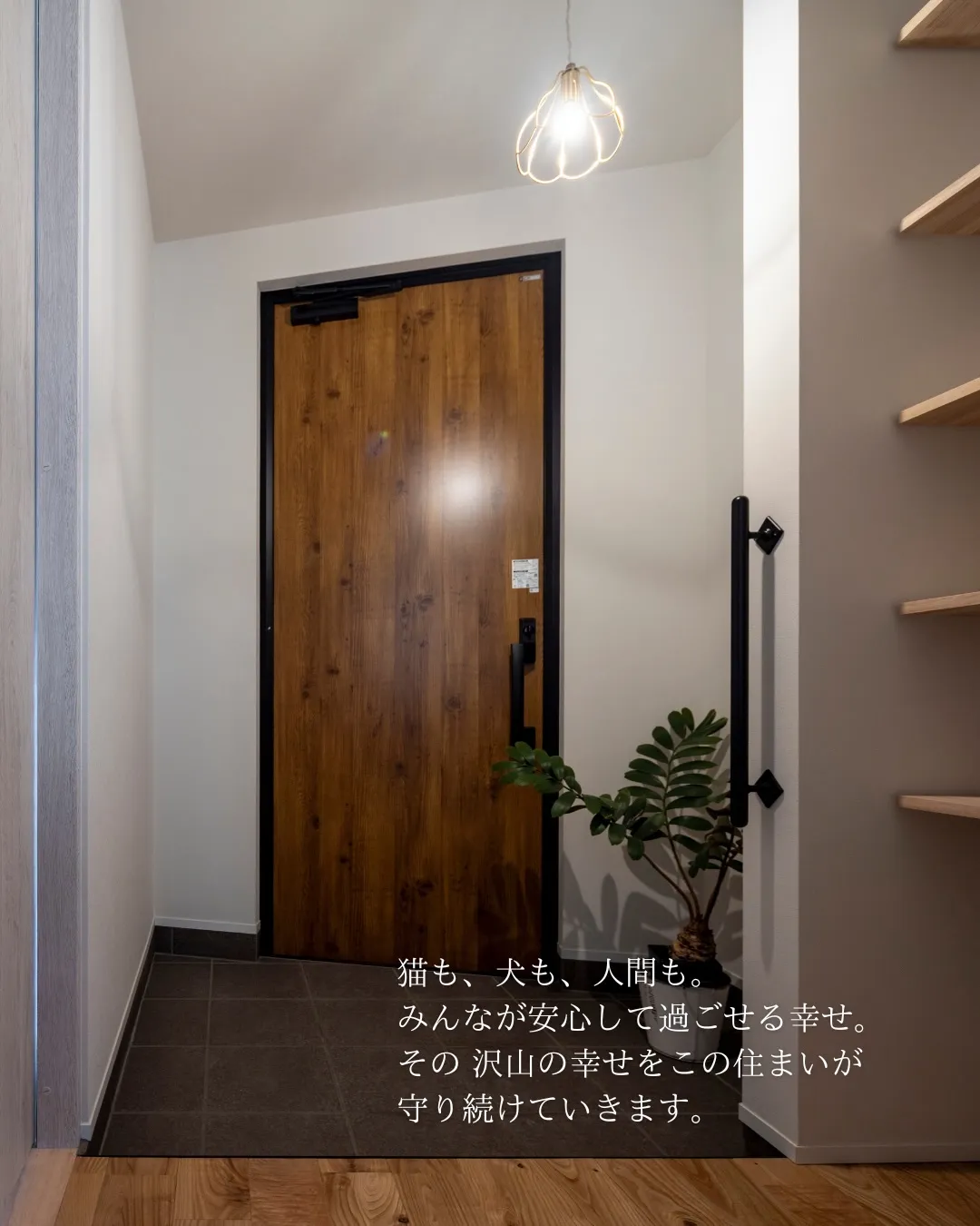 【猫がまんなか】