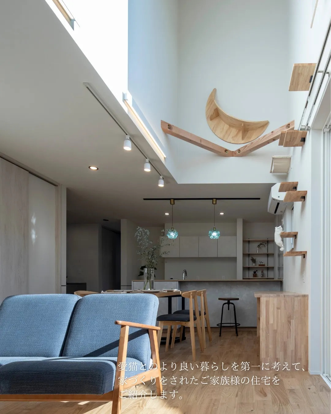 【猫がまんなか】