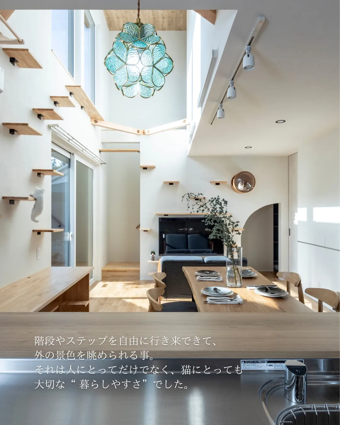 【猫がまんなか】