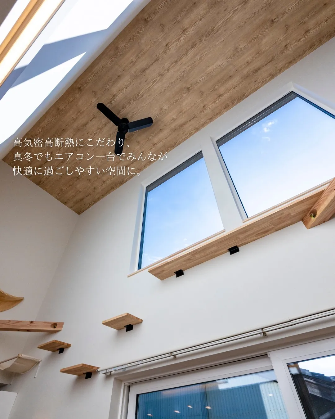 【猫がまんなか】