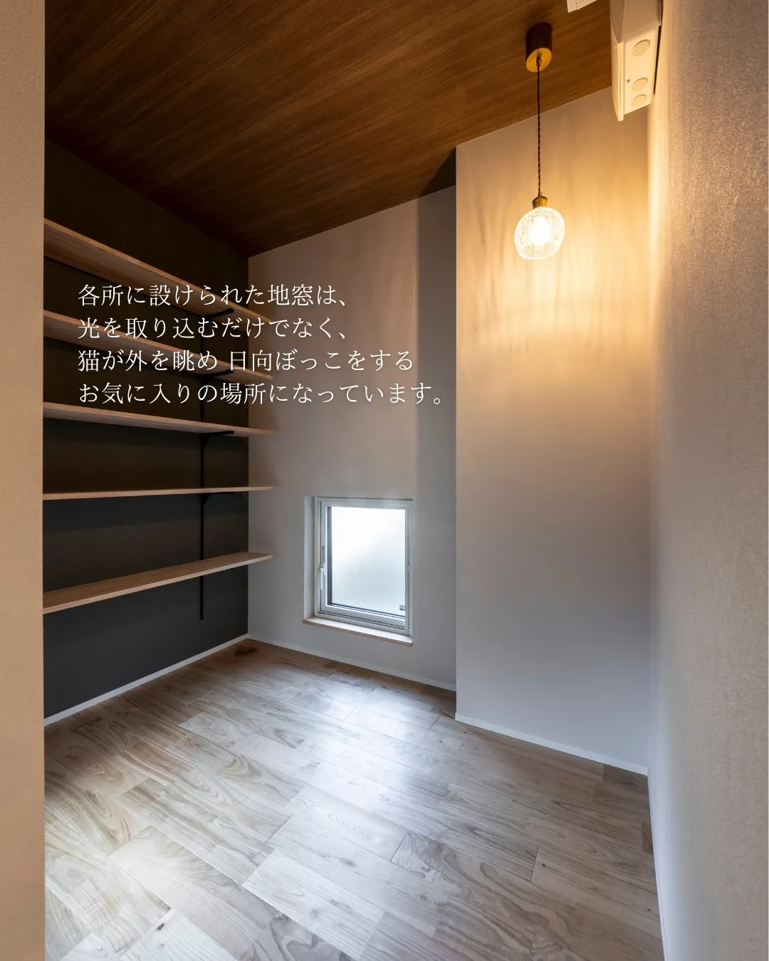 【猫がまんなか】