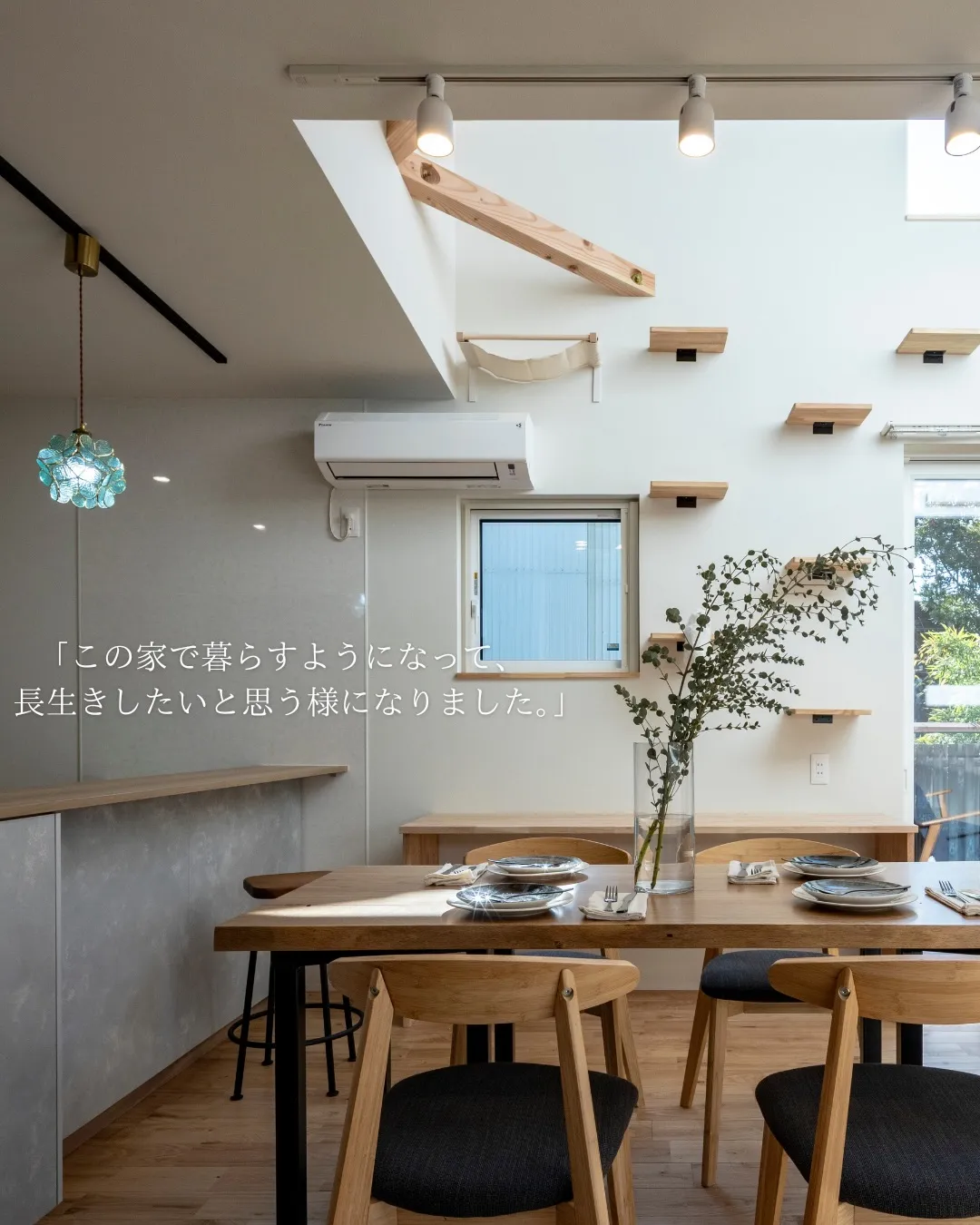 【猫がまんなか】