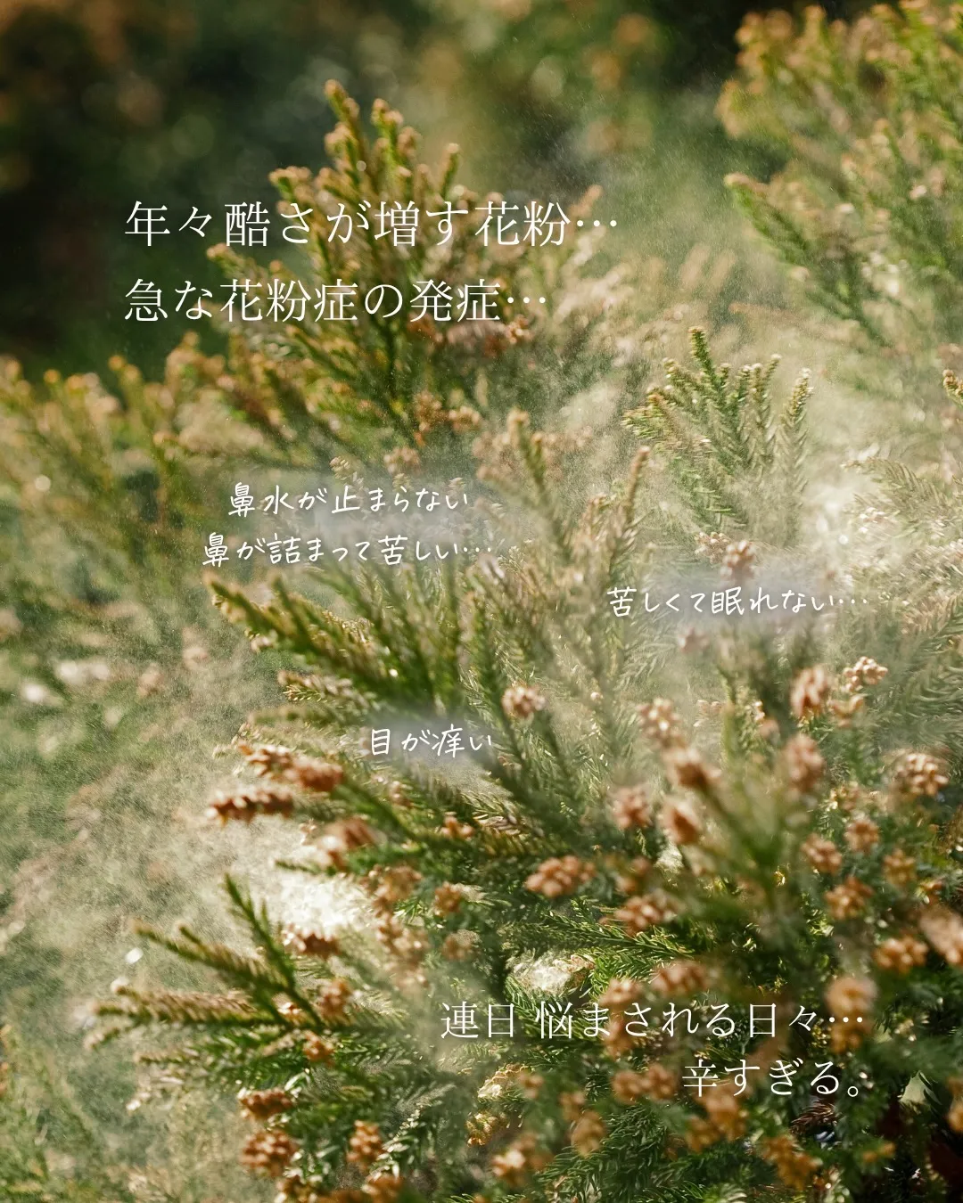 【花粉は入れない・持ち込まない 最強の住宅!】