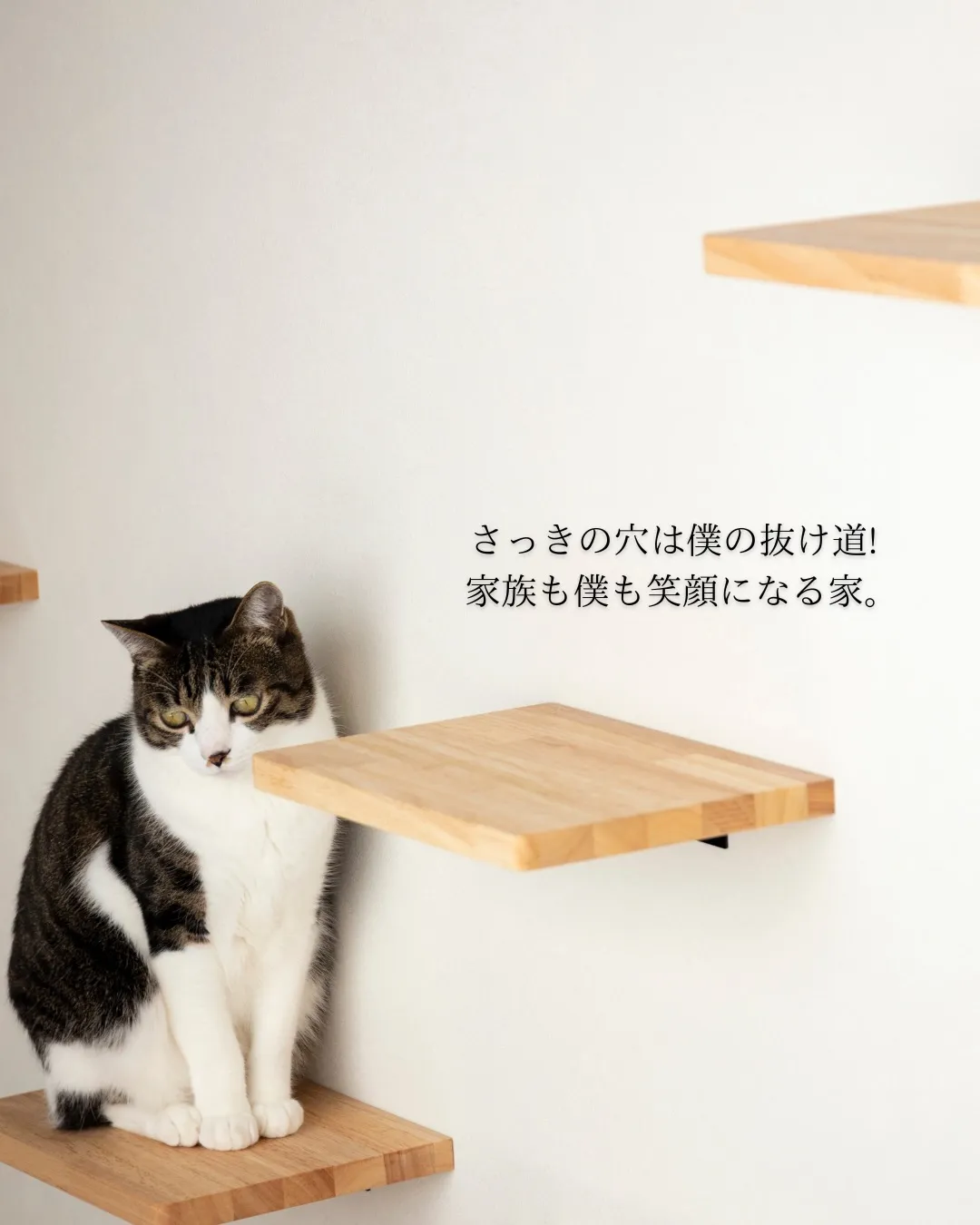 【最近、コレ増えてます。