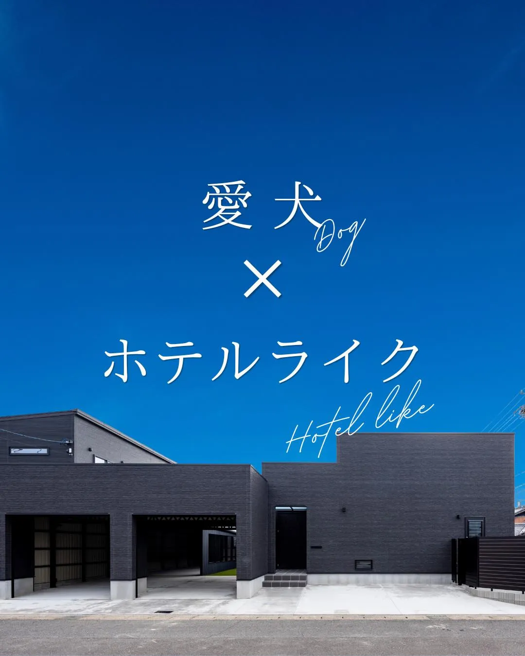 【愛犬×ホテルライク】