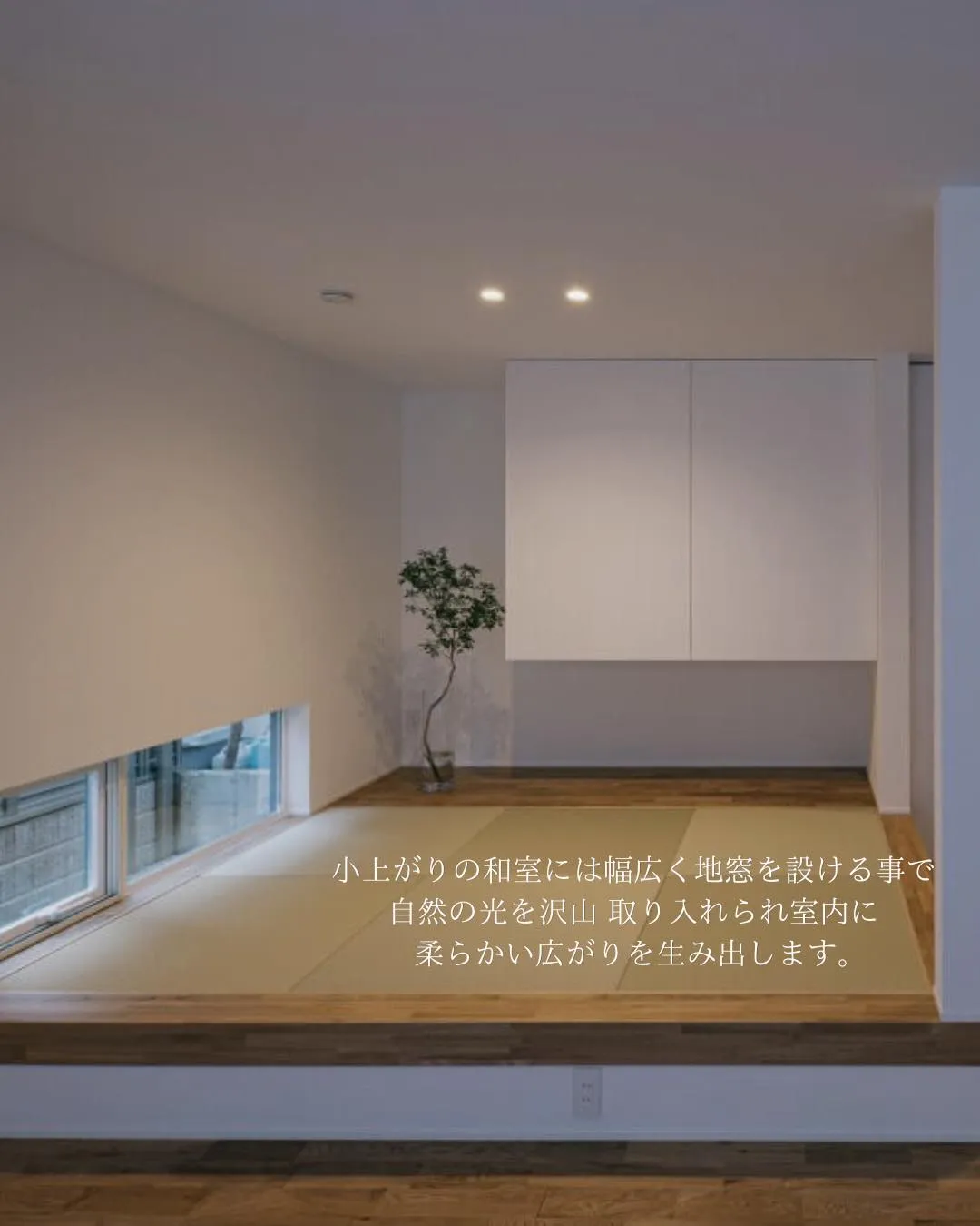 【柔らかく光を取り込む 地窓】