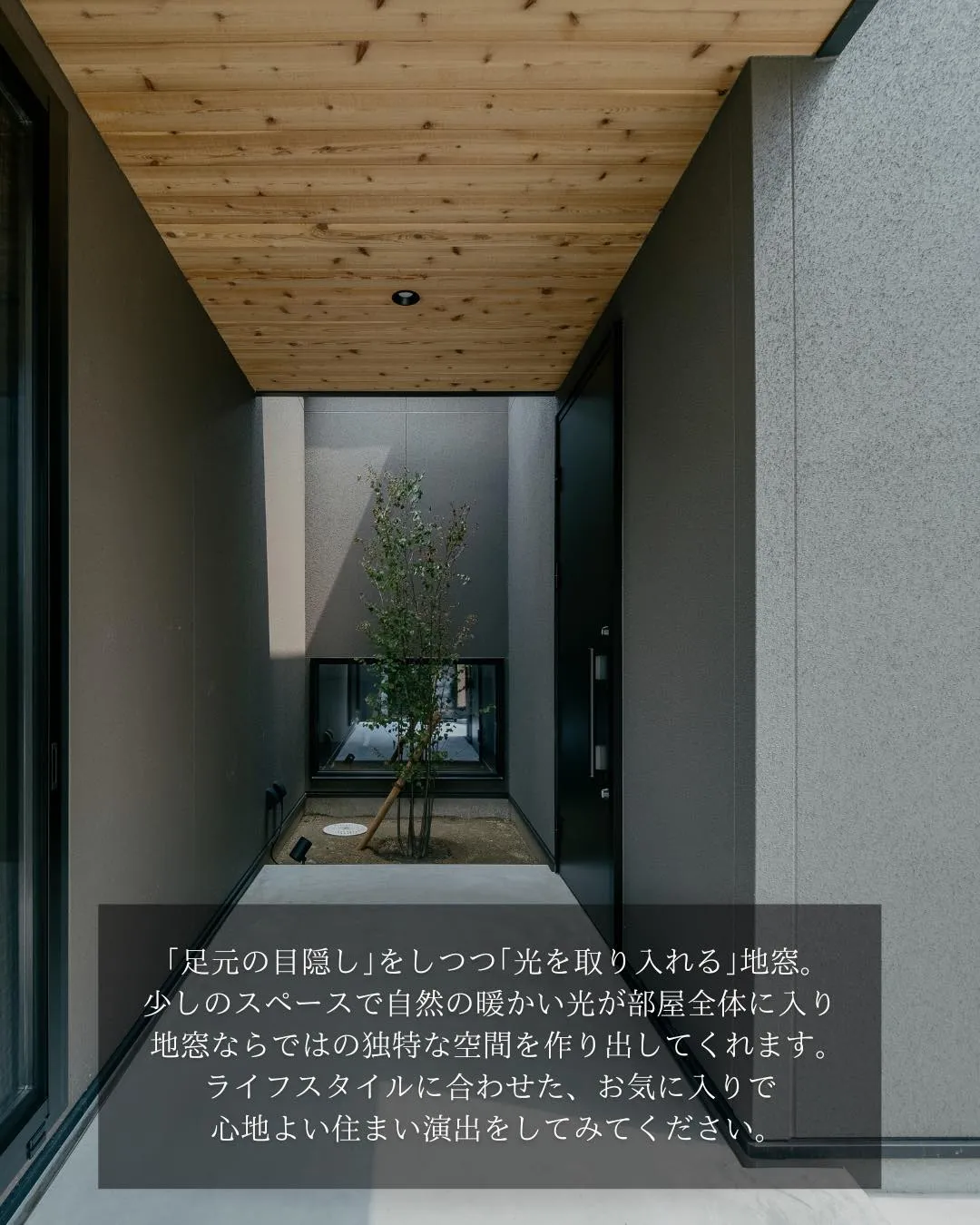 【柔らかく光を取り込む 地窓】