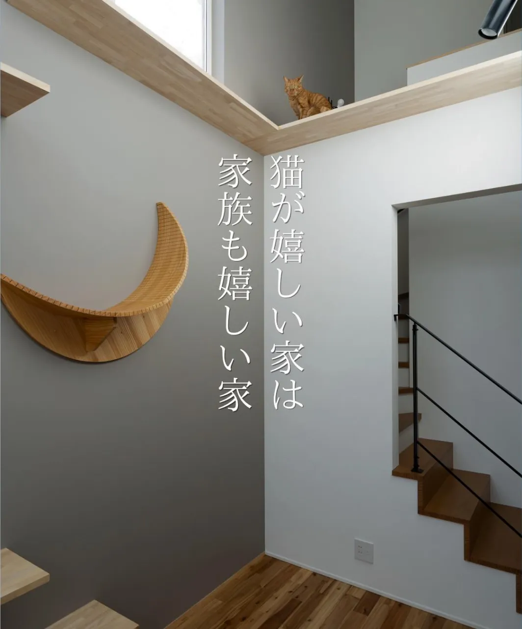 【猫が嬉しい家は家族も嬉しい家】