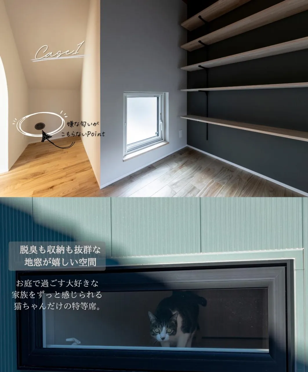 【猫が嬉しい家は家族も嬉しい家】