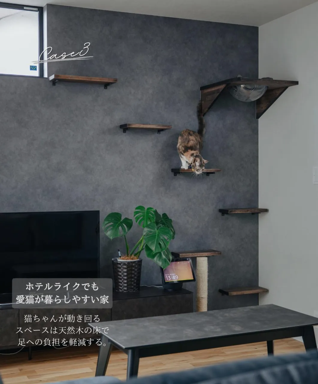 【猫が嬉しい家は家族も嬉しい家】