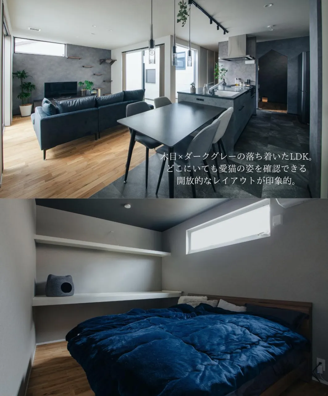 【猫が嬉しい家は家族も嬉しい家】