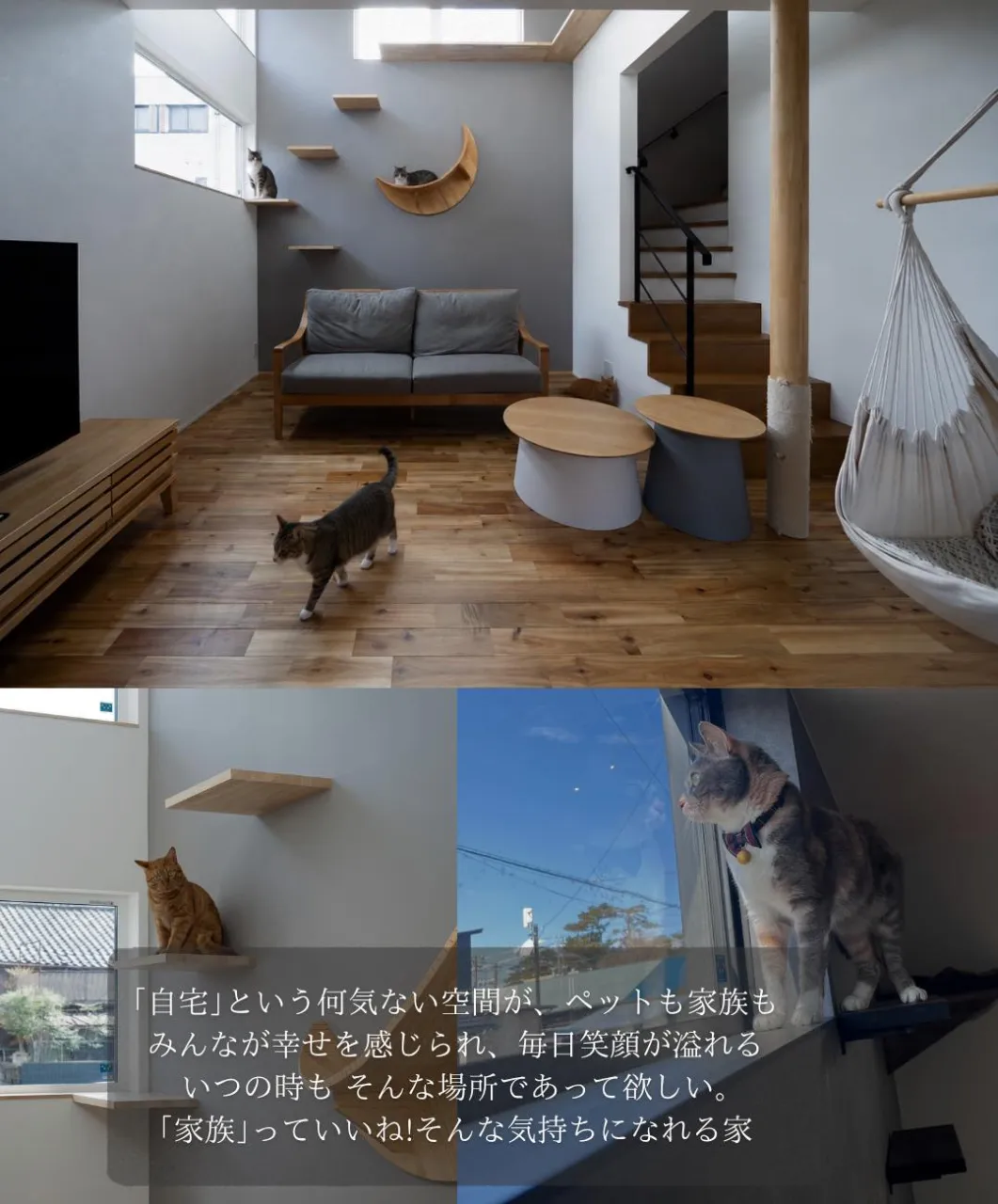 【猫が嬉しい家は家族も嬉しい家】