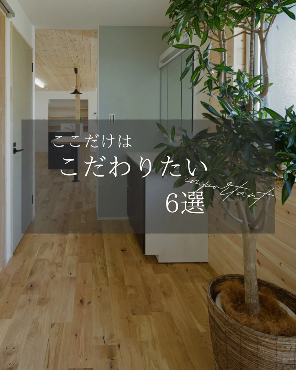 【ここだけはこだわりたい6選】